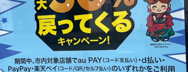 本日より『キャッシュレスで最大３０%戻るキャンペーン』始まります！